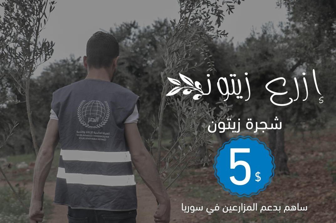 حمزة تكين